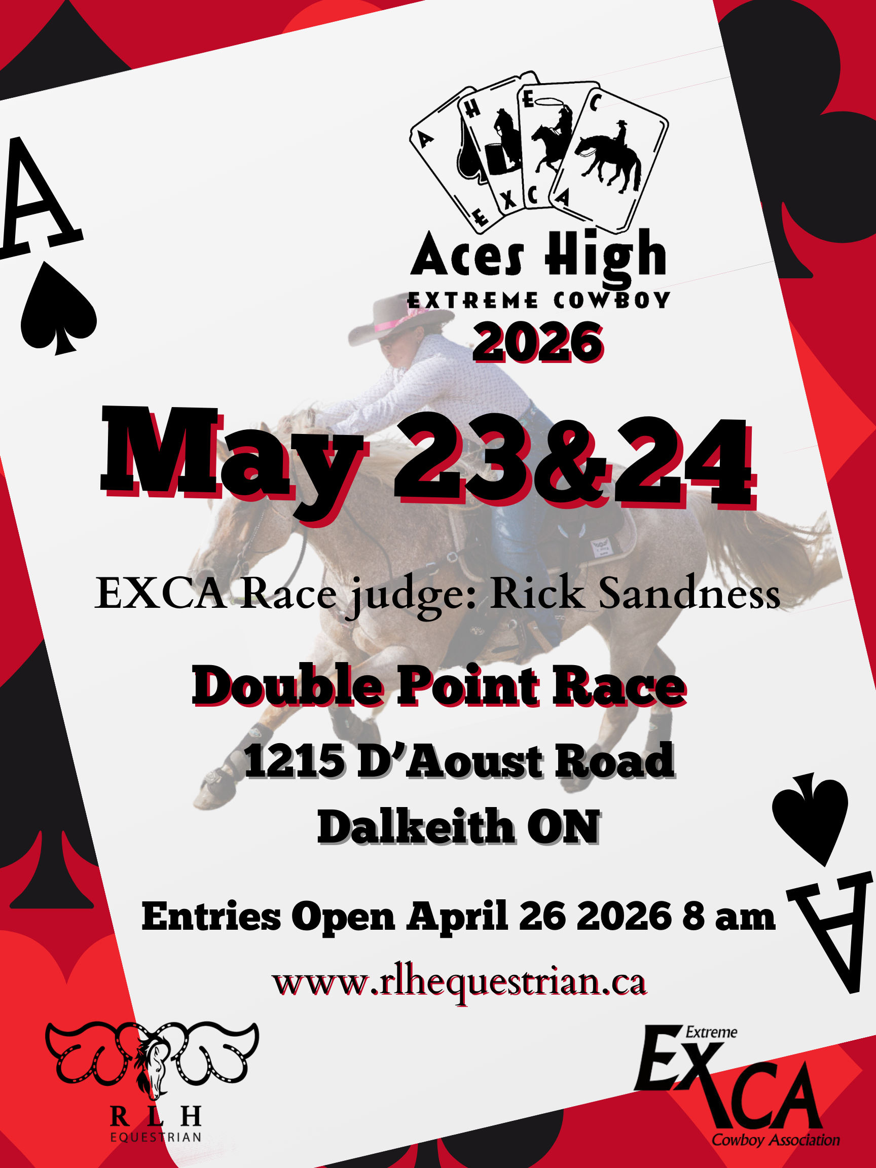 Services - Training and Lessons - Rose and Linda